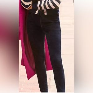 LOFT Velvet Skinny Pants NWT Size 18/34